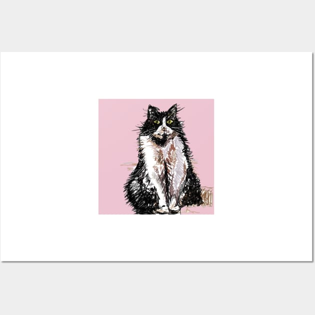 Tuxedo Cat Cute Drawing - on Pink Wall Art by SarahRajkotwala